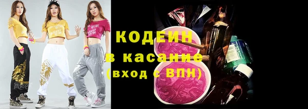 прущая мука Арсеньев