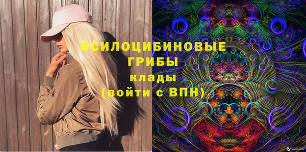 прущая мука Арсеньев