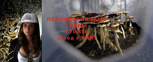 соль ск Аркадак