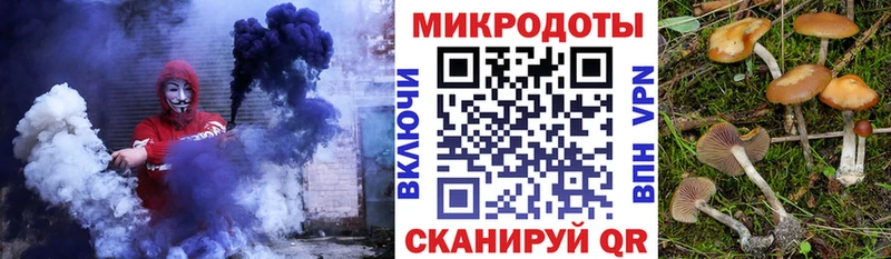 Галлюциногенные грибы прущие грибы  Советск 